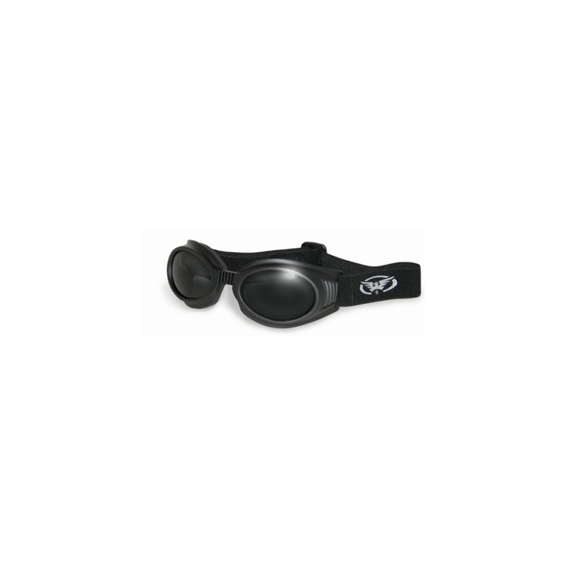 Globalvision Lunettes Goggle Wind Pro 3000 fumée